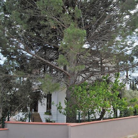 Beyaz Konak Guere Exteriér fotografie